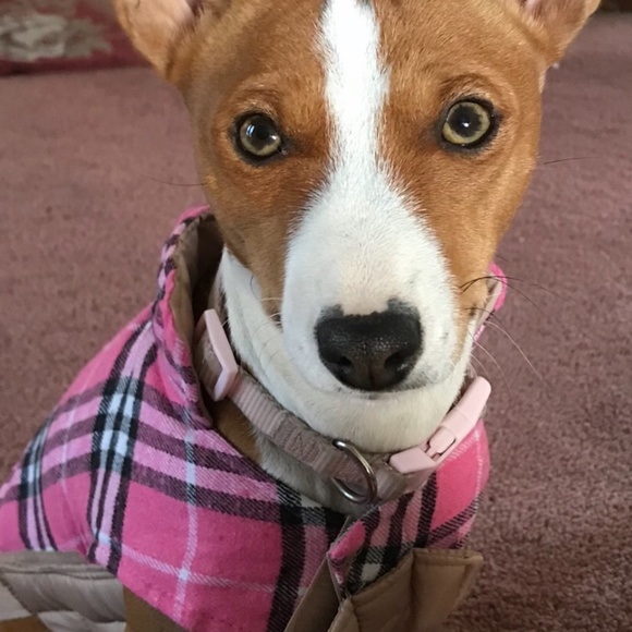 NO clowning around.... - Picture 9 of 16